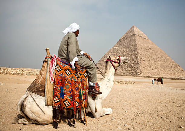 Bedouin is riding on his camel in front of the pyramid ,Egypt.